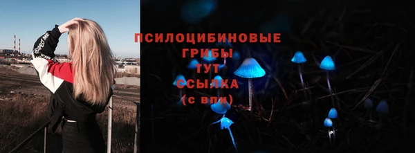 не бодяженный Абаза
