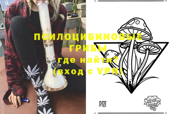 не бодяженный Абаза