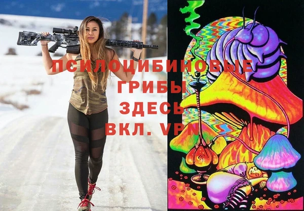 a pvp Алексеевка