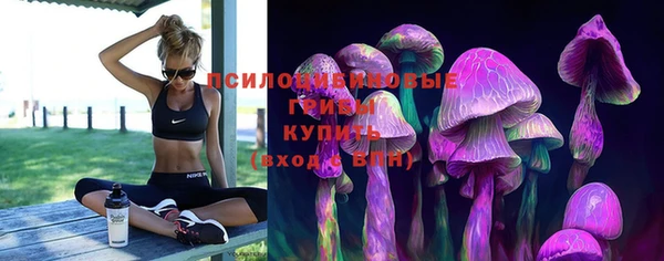не бодяженный Абаза