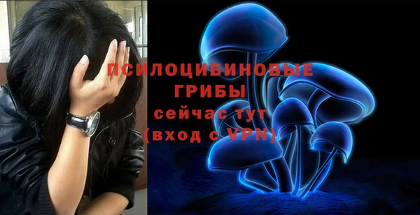 мяу мяу мука Абинск