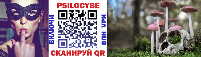 Галлюциногенные грибы Cubensis Княгинино
