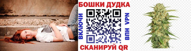 дарнет шоп  Княгинино  МАРИХУАНА планчик 
